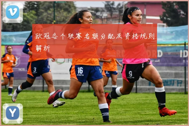 欧冠各个联赛名额分配及资格规则解析